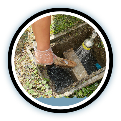 Grease Trap Cleaning in Ventura, CA